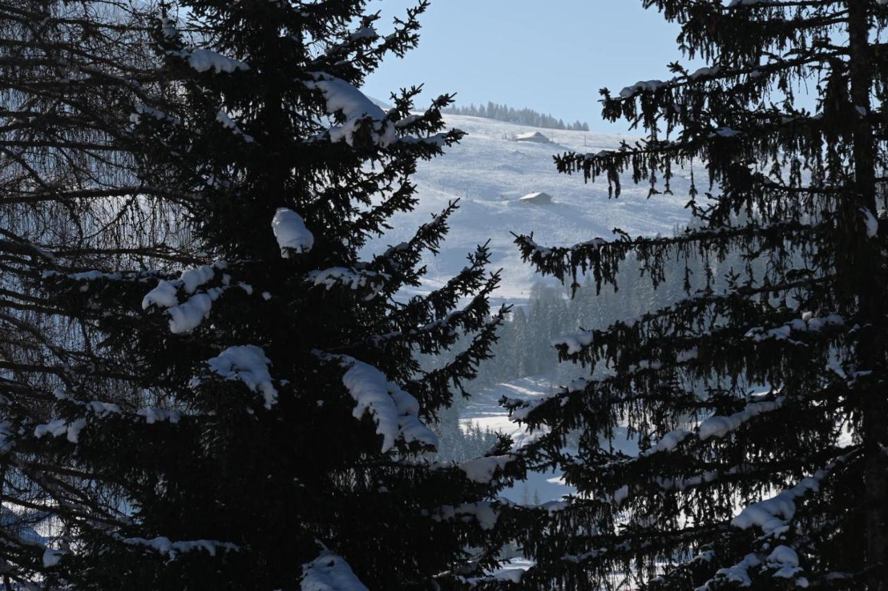 Les Bouquetins Apartment La Clusaz Luaran gambar