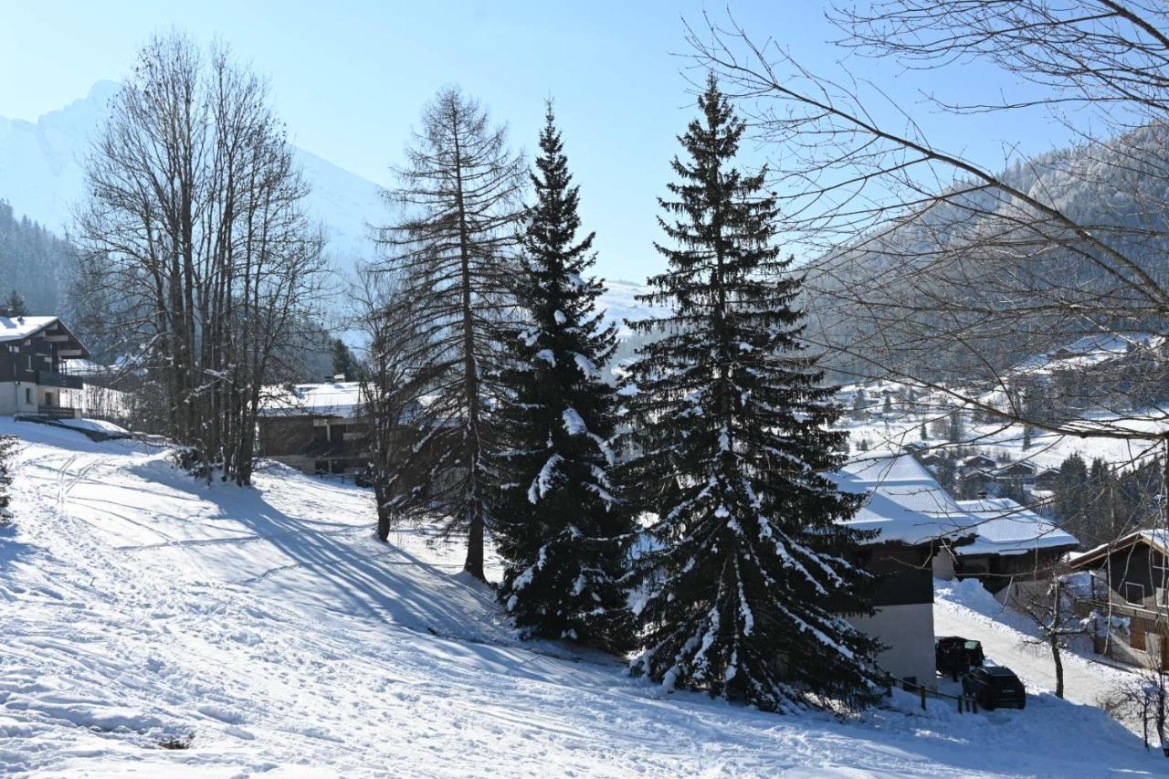 Les Bouquetins Apartment La Clusaz Luaran gambar