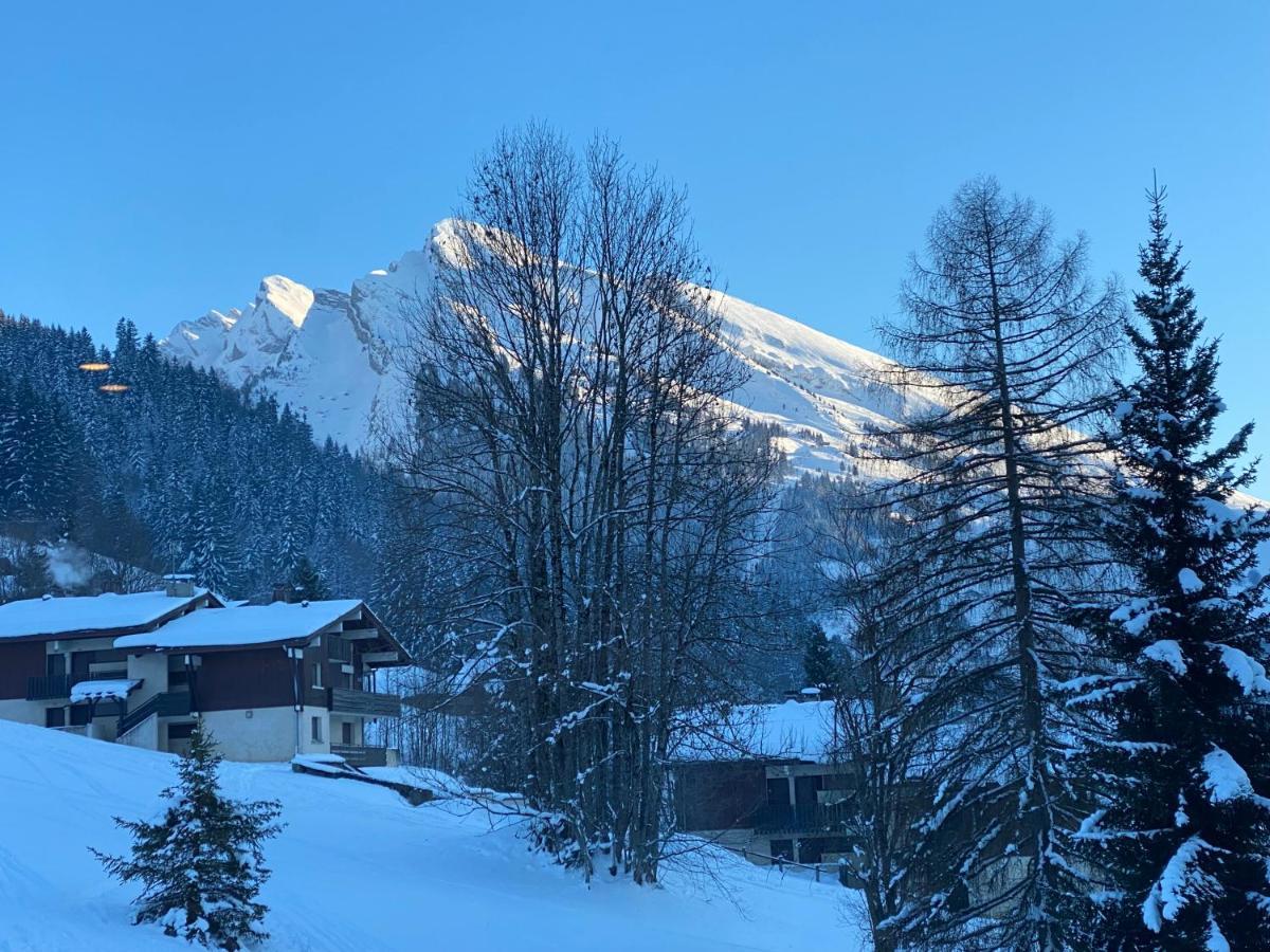 Les Bouquetins Apartment La Clusaz Luaran gambar