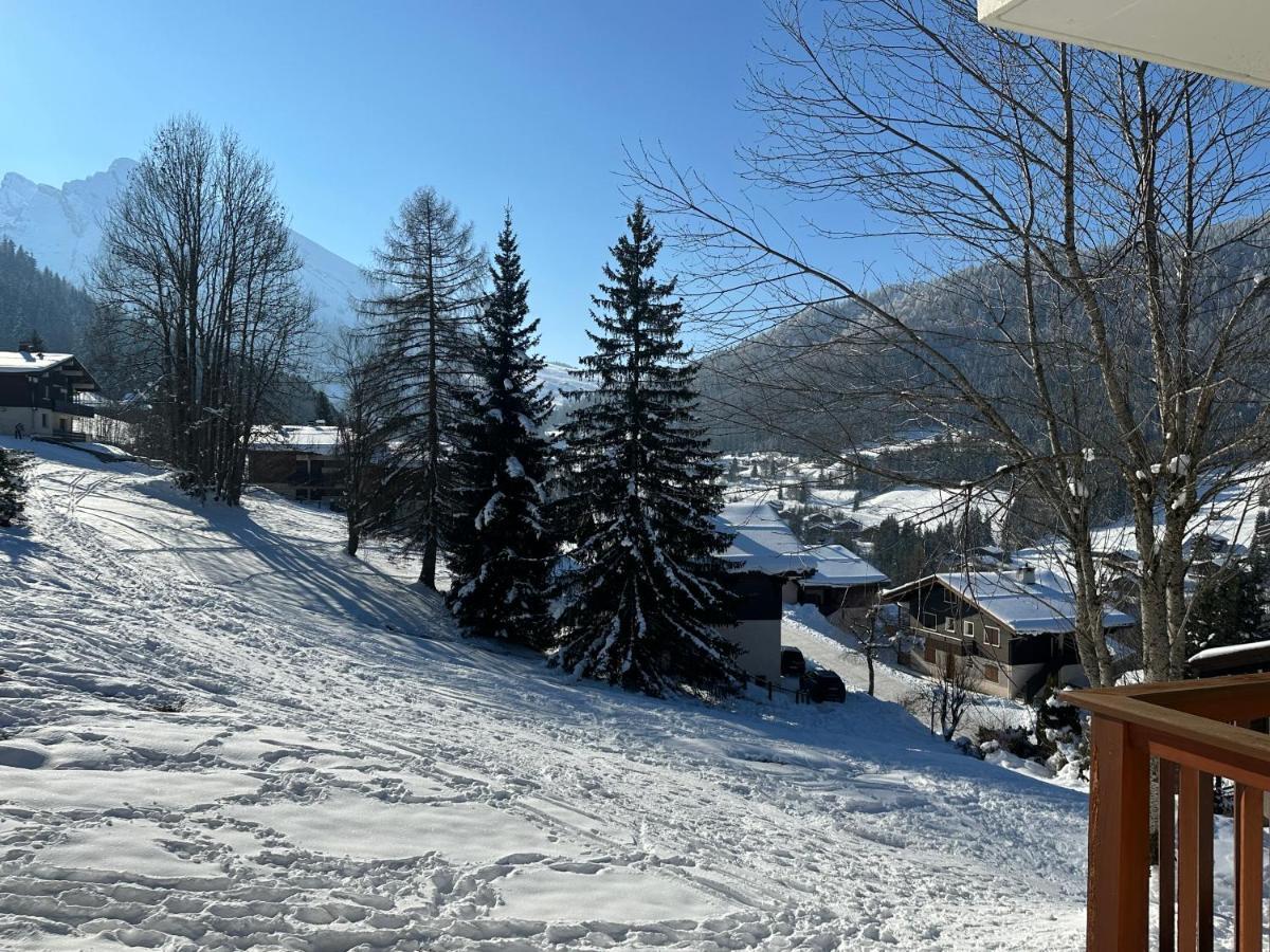 Les Bouquetins Apartment La Clusaz Luaran gambar